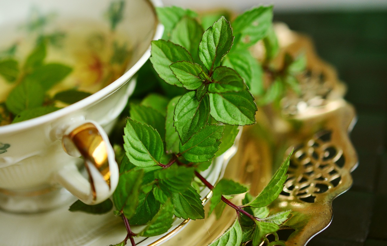 Zielona herbata – samo zdrowie!